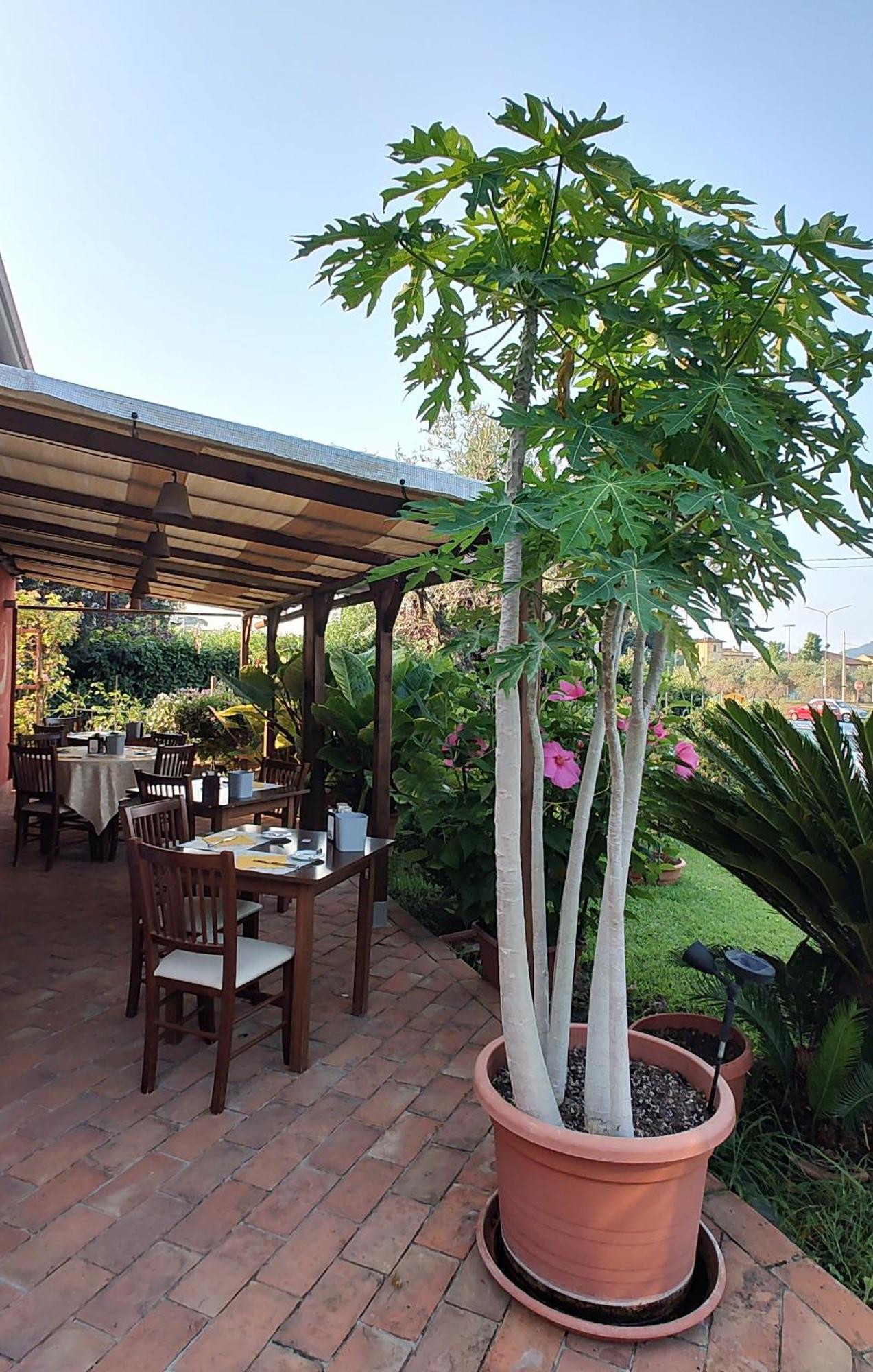 Albergo La Luna Sarzana Exterior photo